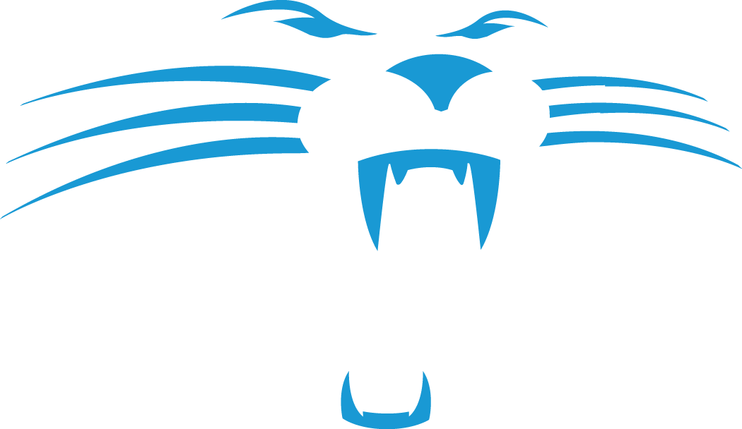 Carolina Panthers 1995-2011 Alternate Logo t shirts iron on transfers v3
